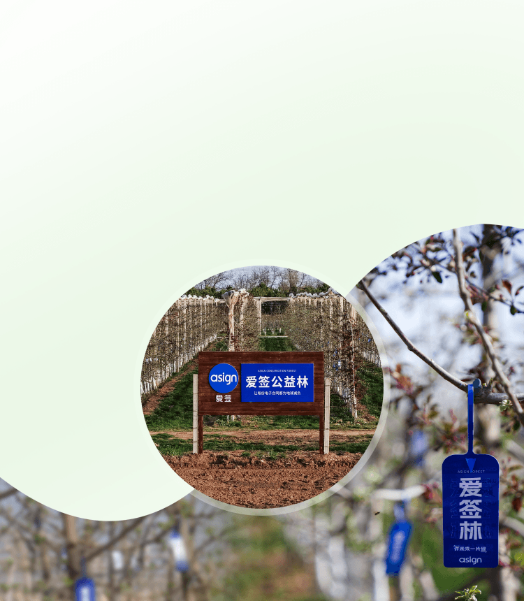 爱签林