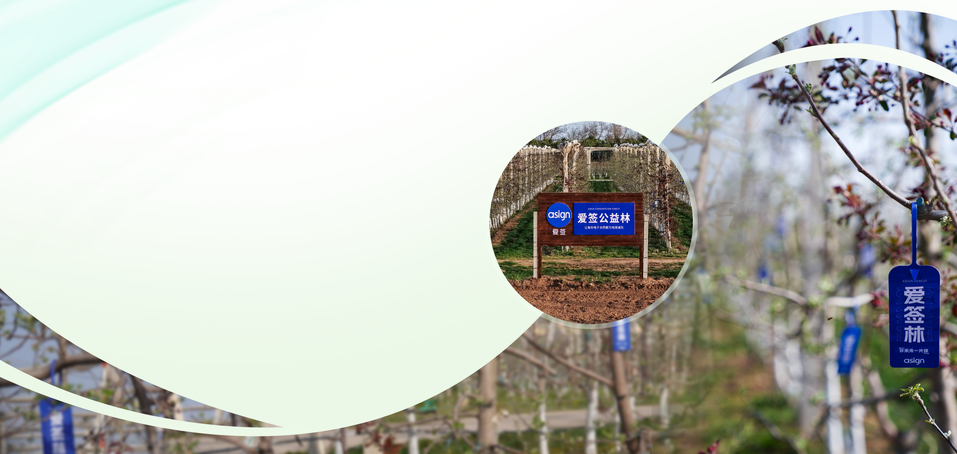 爱签林